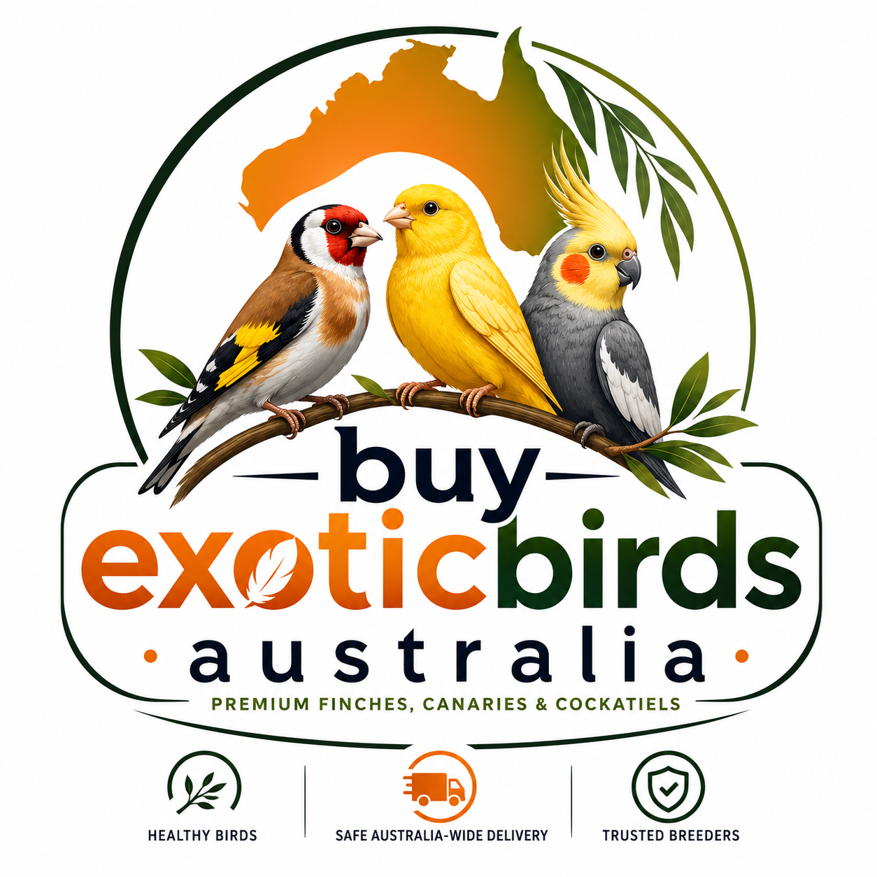 Buy Exotic Birds Australia